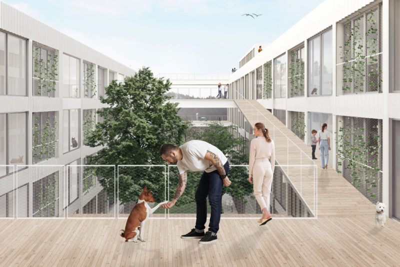 Idejna zasnova mladinskih stanovanj z zavetiščem za živali na Roški v Ljubljani
