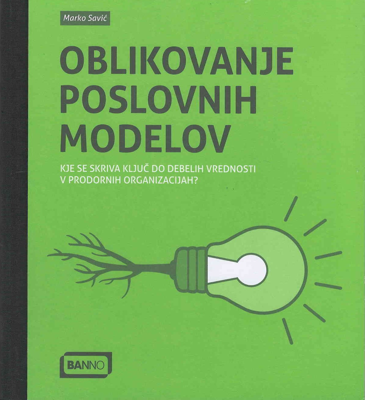 Oblikovanje poslovnih modelov : kje se skriva ključ do debelih vrednosti v prodornih organizacijah?