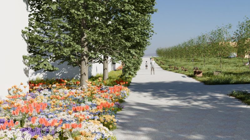Biodiverziteta v urbanem okolju nove soseske na Ježici v Ljubljani