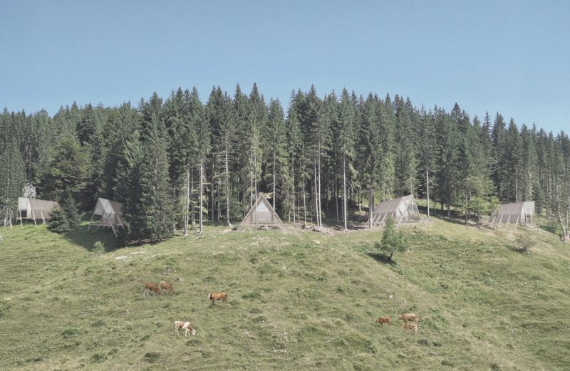 Oživljanje planšarske dediščine na Jelovici : prenova planšarskega doma z dodanimi objekti na Ribenski in Grofovi planini