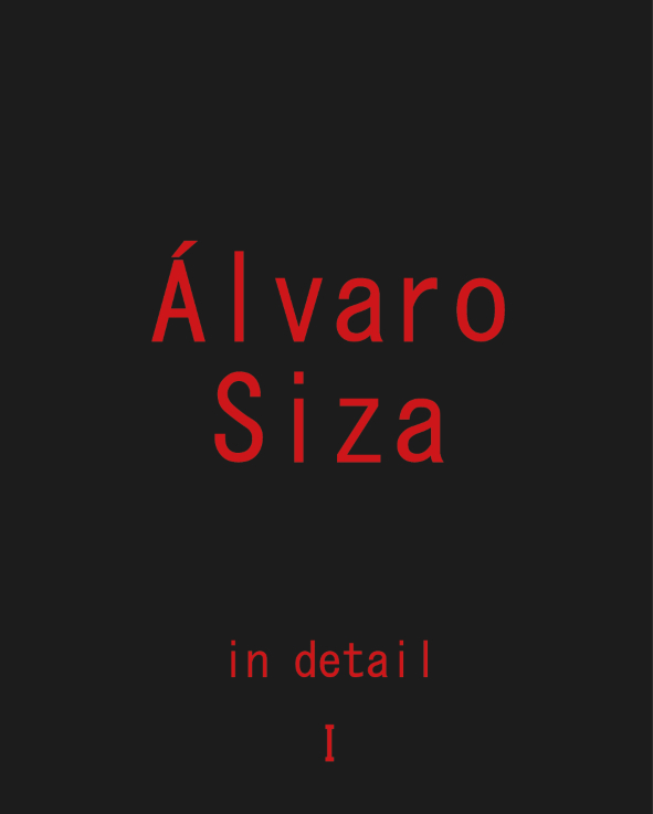 Álvaro Siza in detail I