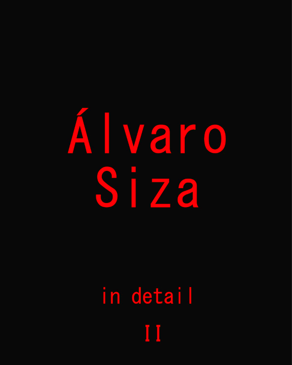 Álvaro Siza in detail II