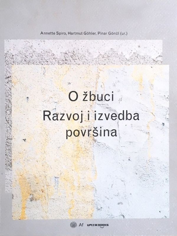 O žbuci : razvoj i izvedba površina