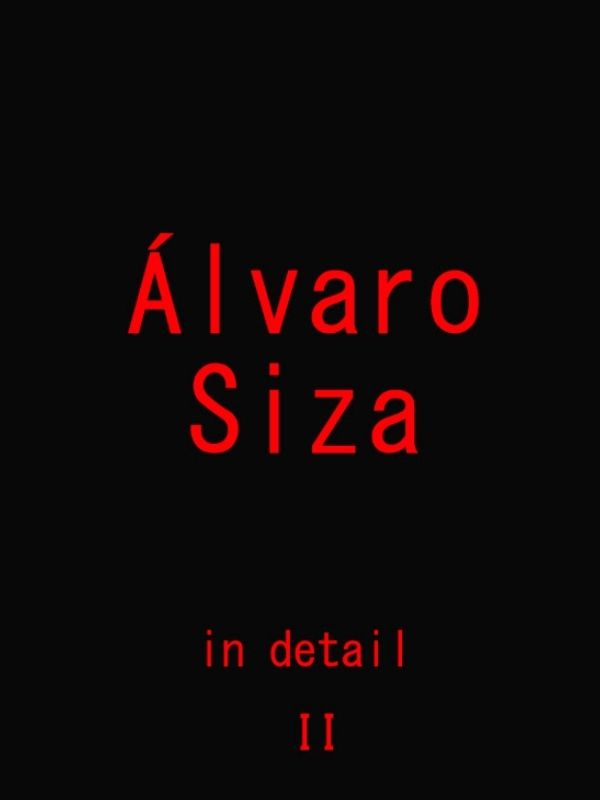 Álvaro Siza in detail II