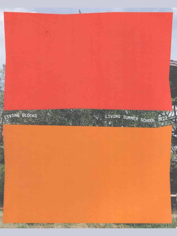 Living summer school 2023 : living blocks