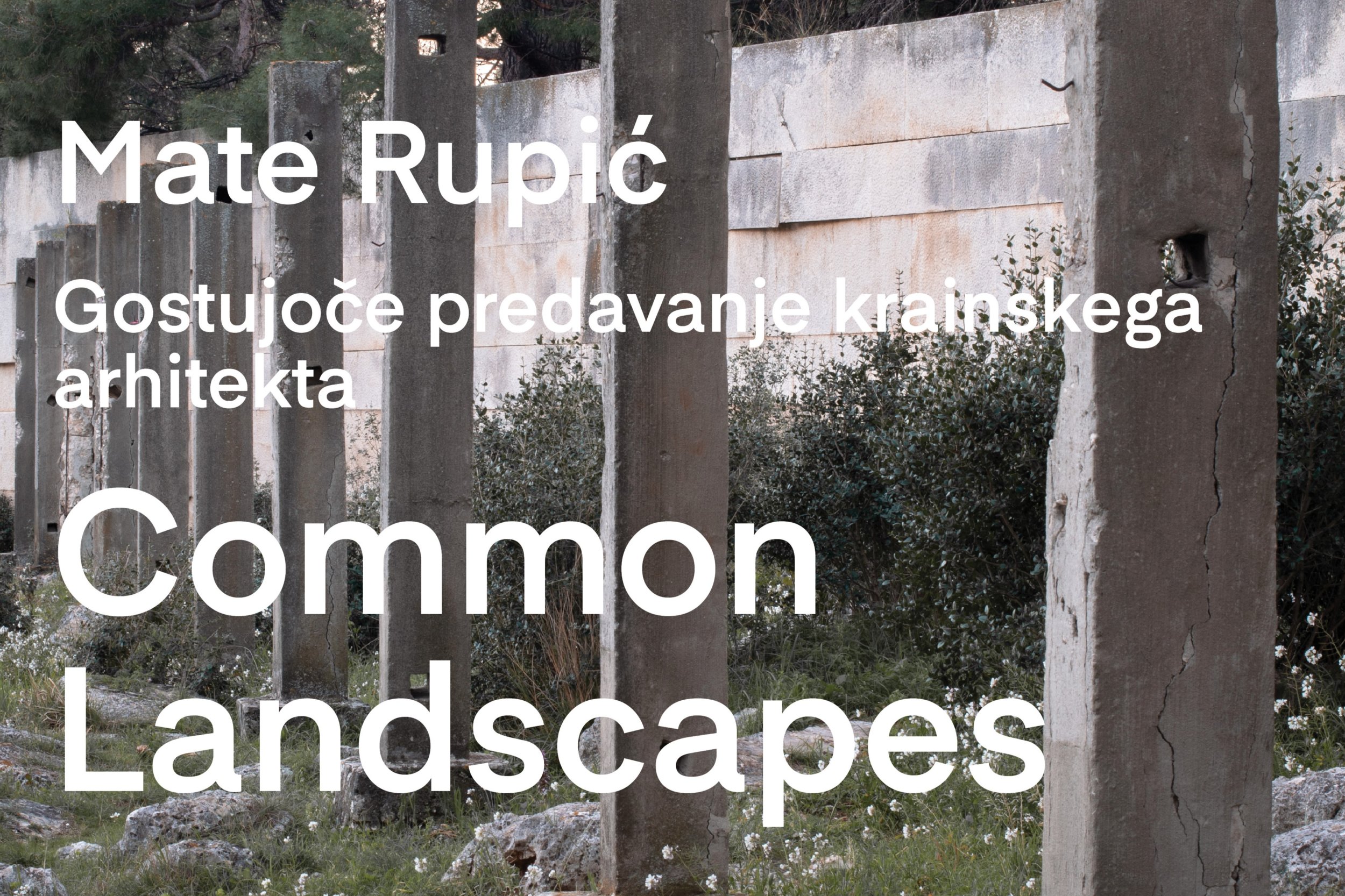 Mate Rupić – Common Landscapes – gostujoče predavanje - predstavnostna slika