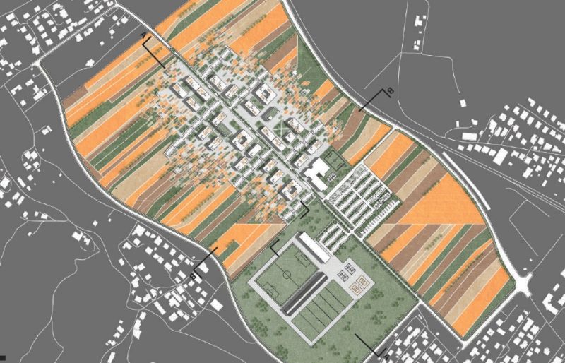 Agrikultura kot vizija za urbani razvoj predmestja - primer Stanežiče